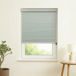 Roller Blinds Light Green Plain