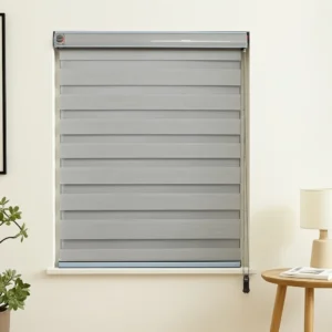 Zebra Blinds F366-21